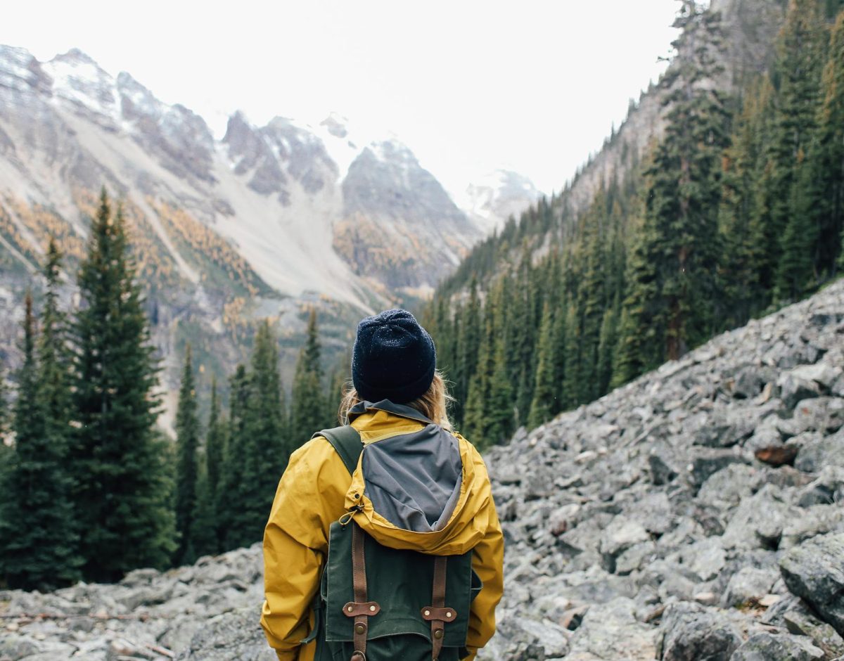 pexels-rachel-claire-4993107